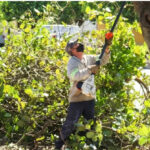 Dia do Prefeito destaca papel estratégico dos gestores municipais na política brasileira