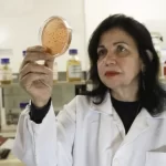 Mega-Sena de R$ 70 milhões e outros concursos mudam datas de sorteio devido ao feriado