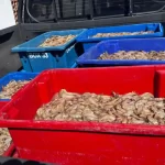 A industrialização da construção civil: as ‘fábricas de casas’ que operam sem pedreiros