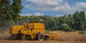 Balança comercial goiana registra superávit de US$ 1,047 bilhão em abril
