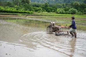 Quais os potenciais impactos do ‘Super El Niño’ no agronegócio? Governo monitora