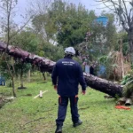 PREFEITURA REFORÇA SEGURANÇA PÚBLICA COM ENTREGA DE ARMAMENTOS À GUARDA CIVIL MUNICIPAL