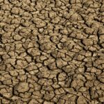 Incêndio no Terra Ronca avança novamente para a Serra Geral e queima 12 mil hectares