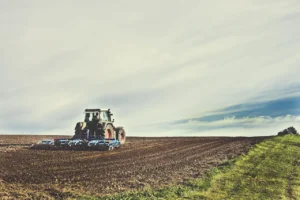 Agro prevê perdas com super El Niño, enquanto varejo enxerga ganhos possíveis