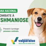 PM descarta material radioativo em antiga clínica abandonada no centro de Goiânia