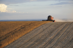 Argentina pode ter segunda maior receita agrícola da história em 2027, aponta Bolsa